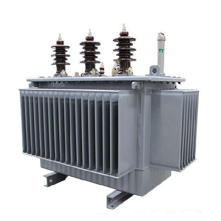 10 0,4 Kv Polmonteret Transformer 30 Kva